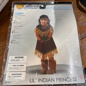 California Costumes Toddler Native Princess Outfit - Brown and Gold
